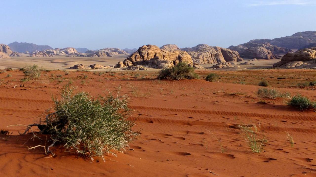 Salem Camp Wadi Rum Exterior foto