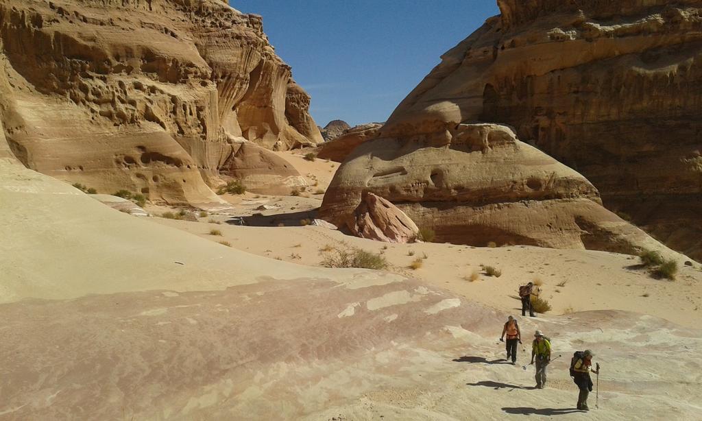 Salem Camp Wadi Rum Exterior foto